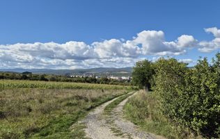 Teren intravilan zona Lătureni, nr. 100, schimb cu gars. + dif./parcel