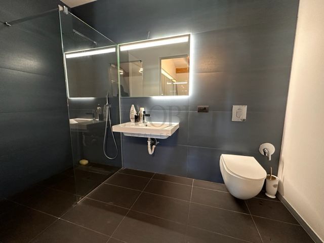 Penthouse 4 Camere | Vedere Lac | Baneasa - Poză 16