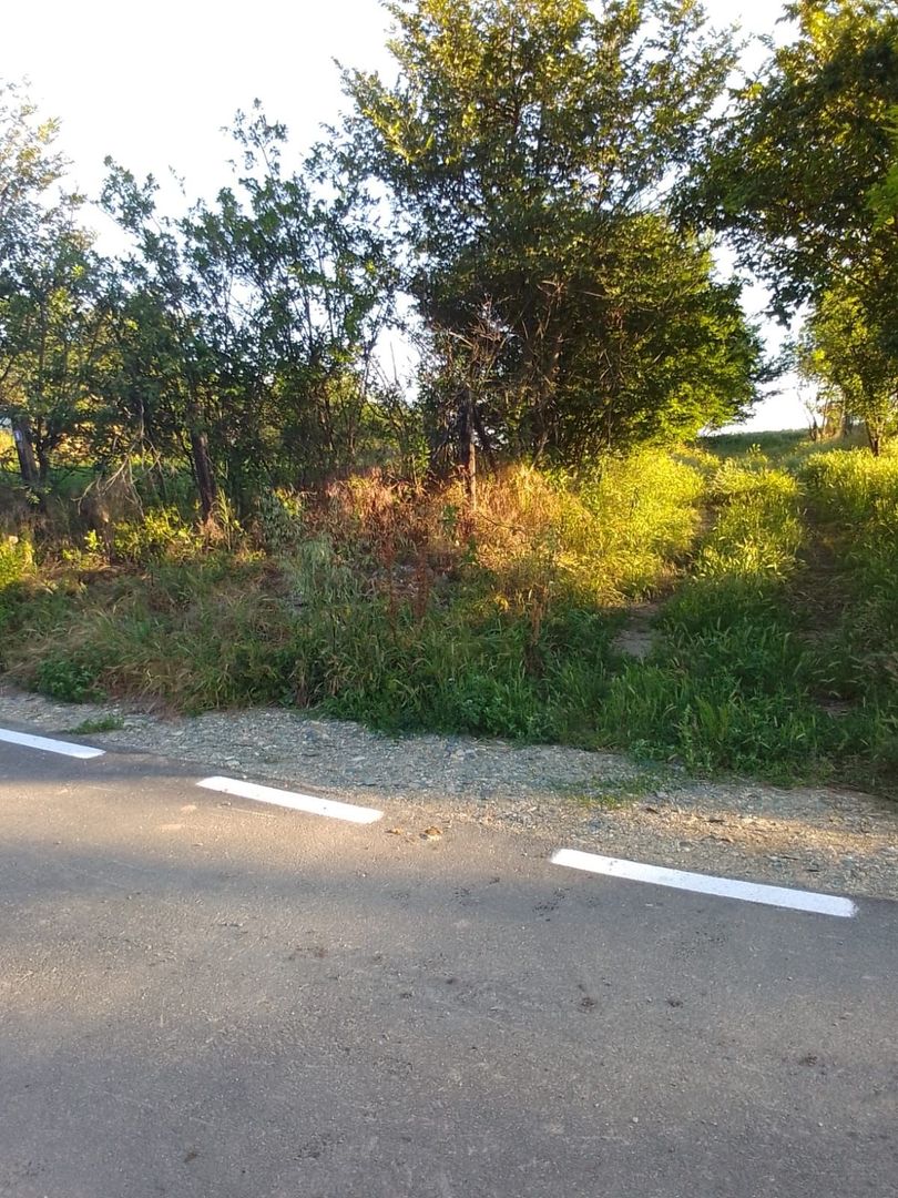 Teren intravilan 2.500 mp – Vieru, Giurgiu - Poză 3