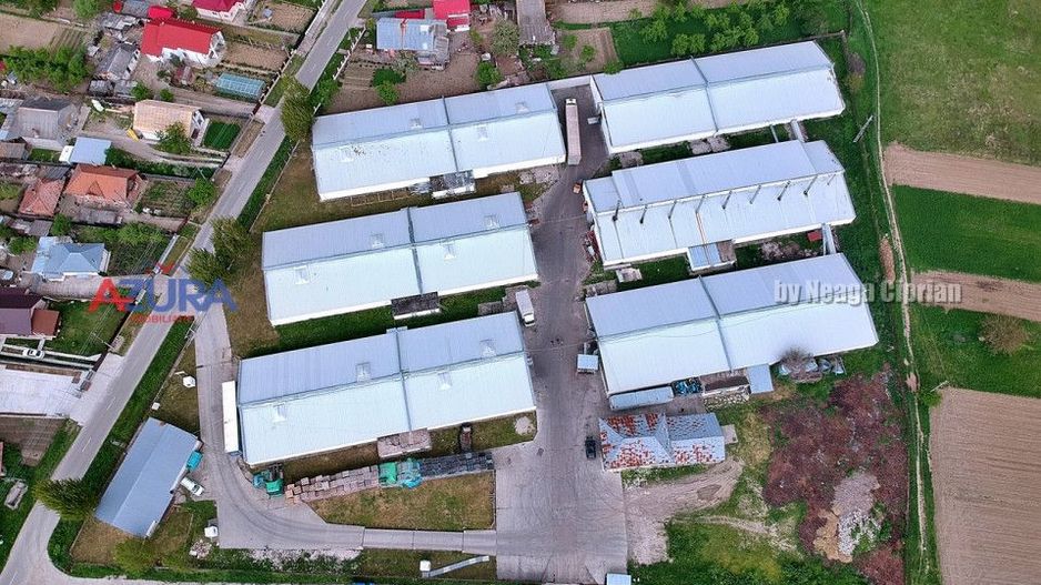 COMISION 0% - HALE Calinesti Arges - Poză 7