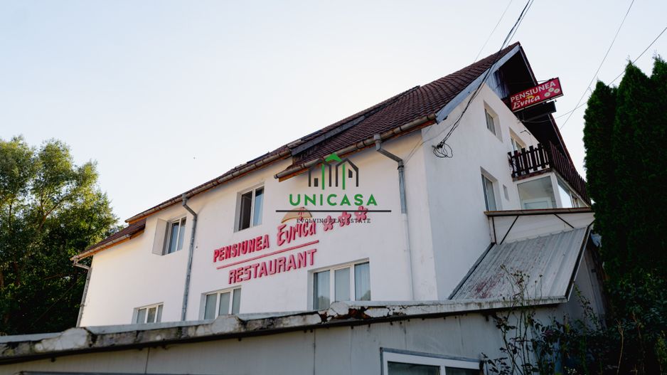 PENSIUNEA EVRICA - COSTESTI - HOREZU - VALCEA - Poză 55