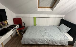 3 camere, Ultracentral, Zona Dorobantilor, Facultata de Drept, Cipariu - Poză 4