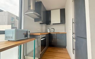 3 CAMERE | DELEA VECHE - CALEA CALARASI - Poză 6