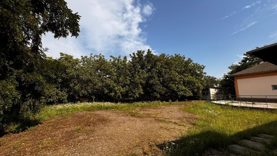 Complex de clădiri administrative – Livada, 310.000 E. Comision 0. - Poză 6