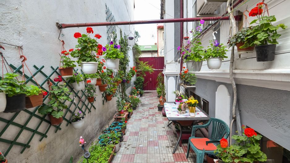 Casa individuală | Strada Plantelor | Curte proprie - Poză 2