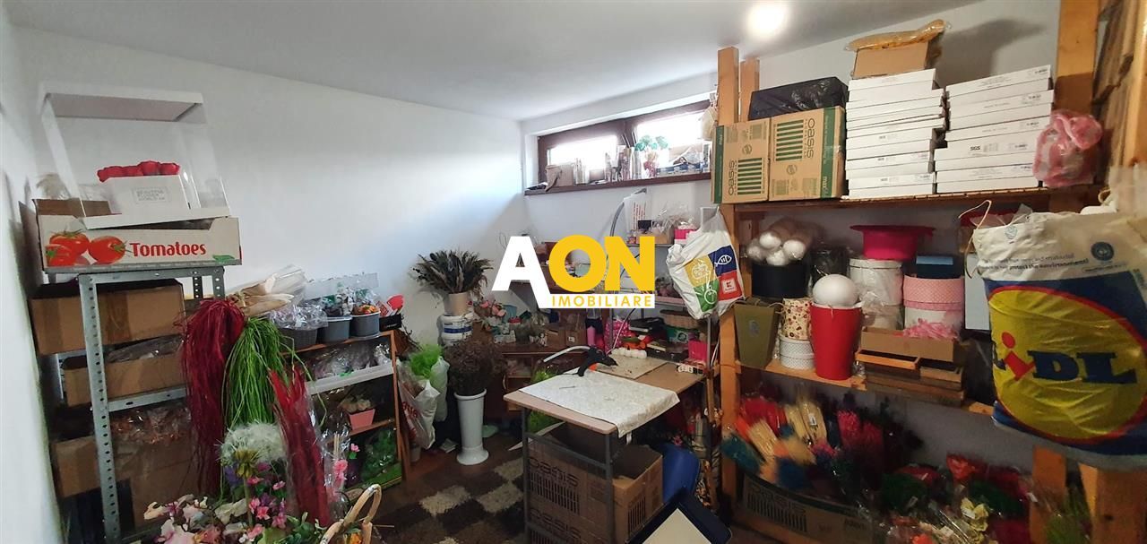 Casa parter+demisol, 1200 mp teren, pretabila pt 2 familii, Sard - Poză 23