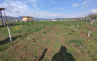 Grădină 862 mp cu cabanuta și pomi fructiferi – între Tălmaciu și Sadu - Poză 2