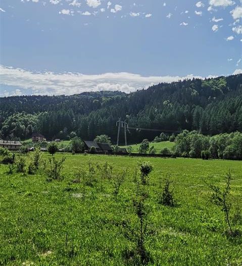 Teren cu proiect casa, in vecinatatea padurii Bradet, Brasov - Poză 6