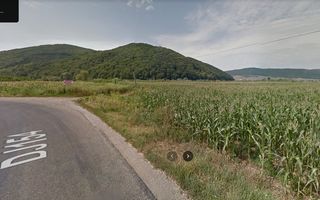 Teren extravilan, Sarata - Poză 1