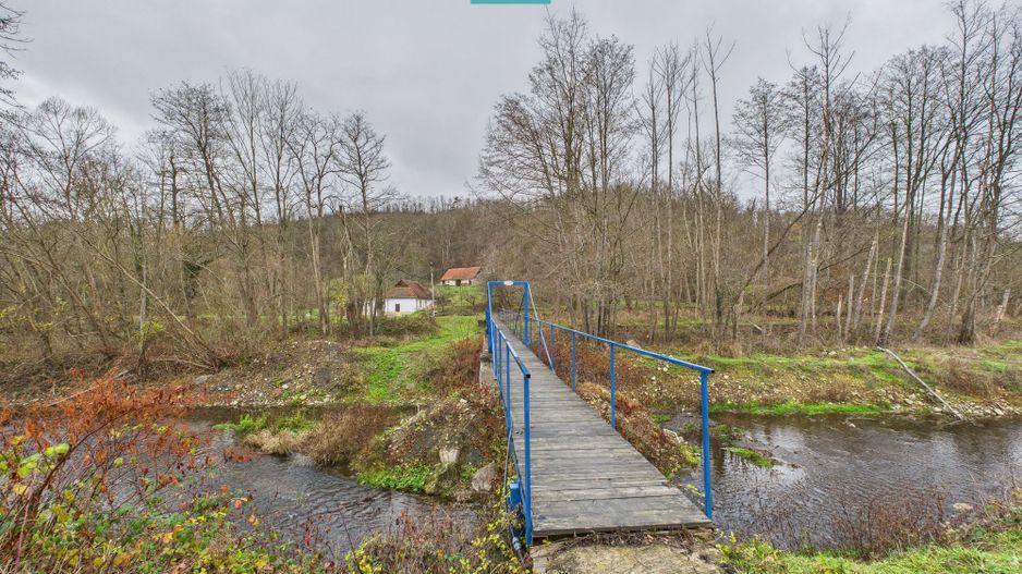 Casă cu teren de 24.679,73 mp, în Hălmagiu, Arad - Poză 27