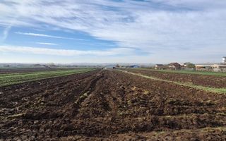 Hala de vanzare in Racari de Jos - Poză 14