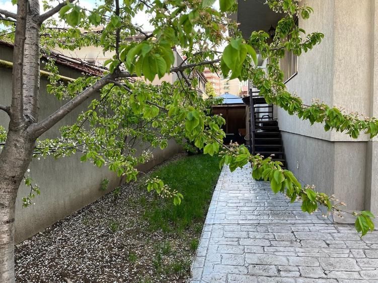 Apartament 3 Camere | Curte | Barbu Vacarescu - Poză 16
