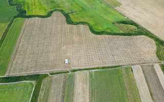 Livadă BIO de nuci de vânzare lângă Cermei - Poză 4