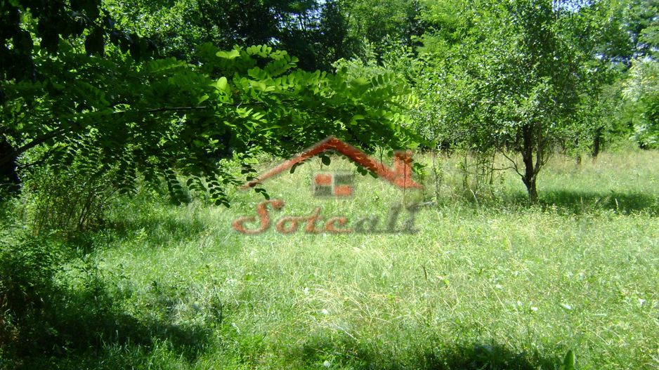 Teren de vanzare in Cornu 1585 mp - Negociabil - Poză 3