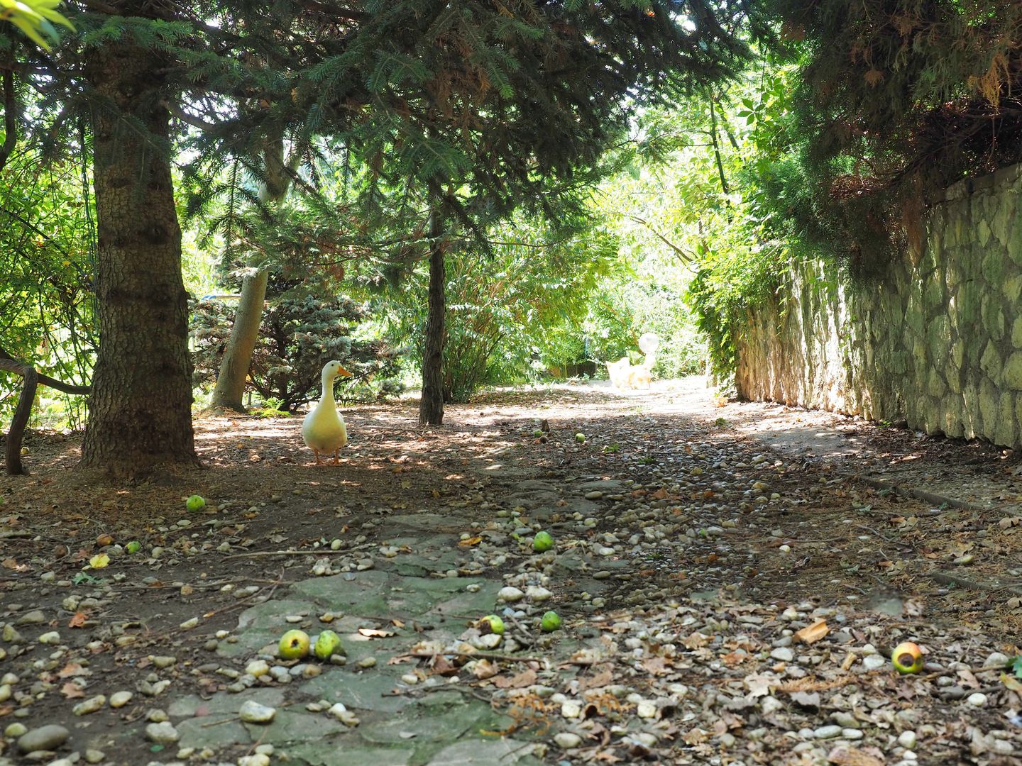 NOU-VILA 6 CAMERE SNAGOV IZVORANI LAC -TEREN 1800mp - Poză 2