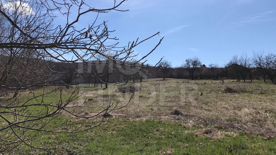 Vanzare 7080 mp teren cu PUZ in Faget - Poză 1