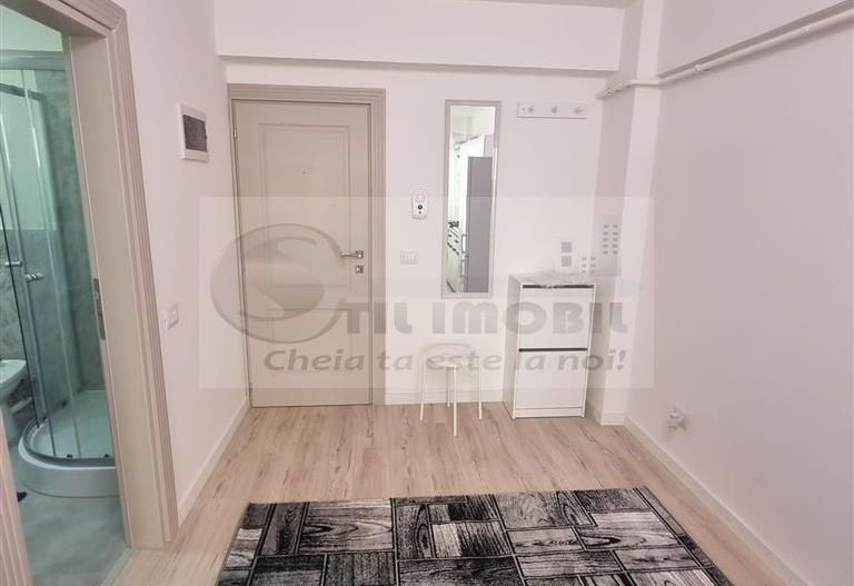 Apartament 1 camera Bucium-300Euro - Poză 8