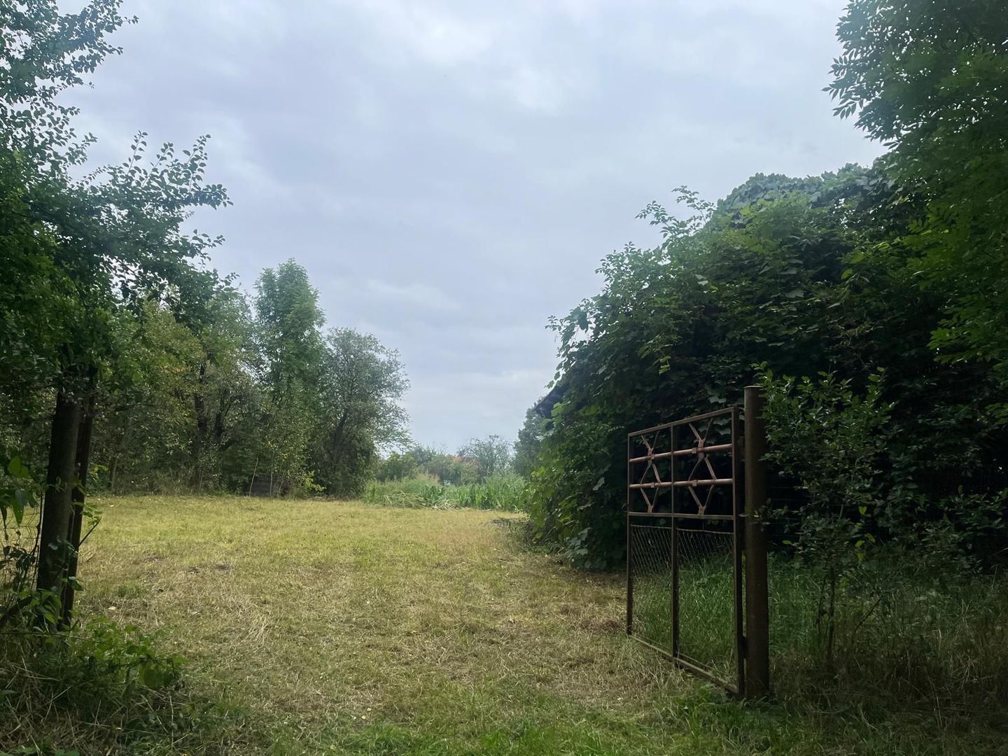 De vânzare teren intravilan, 2352 mp, Pachia, Covasna! - Poză 3