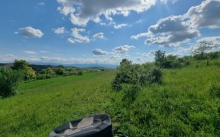 Teren Extravilan de Vânzare – 2.500 mp | Hamba - Poză 2