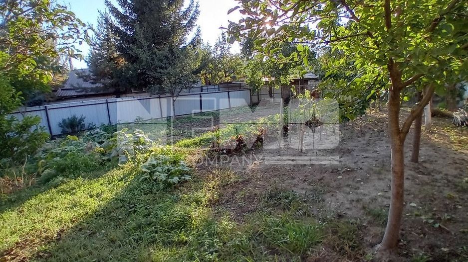 Casa cu teren | 600 MP | 125.000 EURO - Poză 13