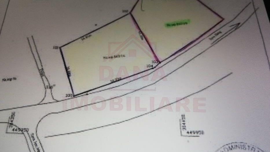 TEREN INTRAVILAN ÎN MARGA-LA DN68 JUD.CARAȘ-SEVERIN - Poză 9