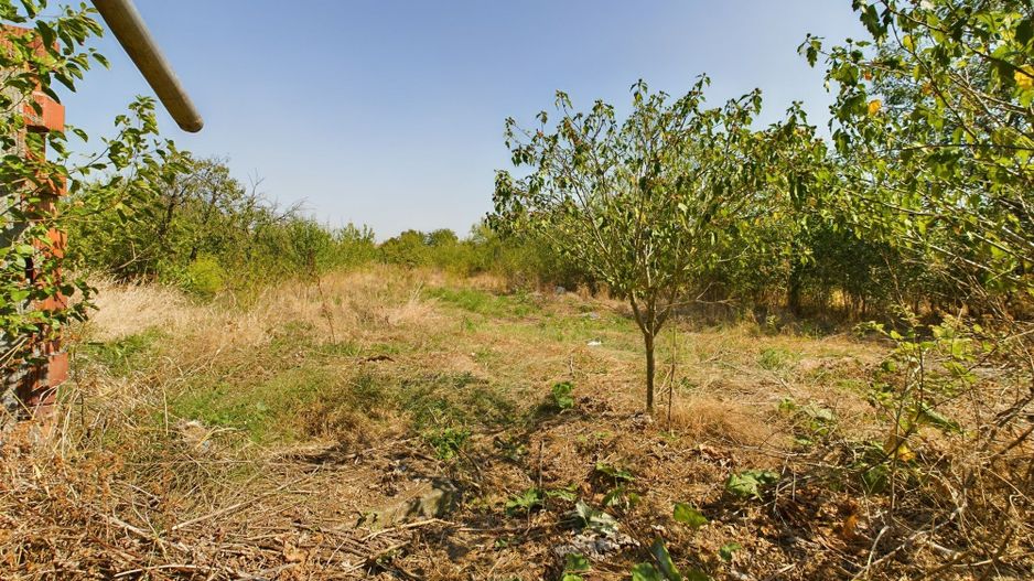 Oportunitate de investiţie, casă cu teren,  în Şuştra, Timiş - Poză 1