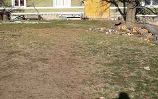 Proprietate cu 60000 mp pamant la pret de apartament - Poză 21