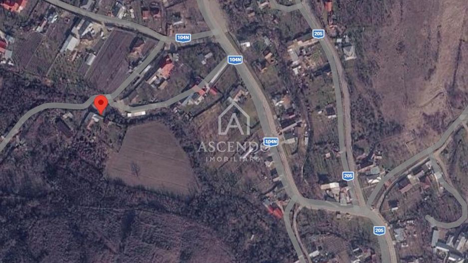 Domeniu 15.900 mp în Fințești | Casă + Investiție Dealu Mare - Poză 29