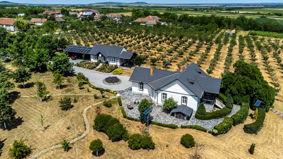 REZERVAT Visezi la o proprietate unică, plină de istorie și farmec? - Poză 13