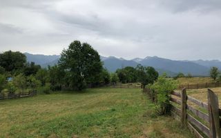 Teren intravilan | 1829mp | Cârțișoara - Poză 2