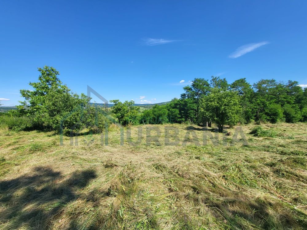Teren de vânzare, Ciurea – 771 mp, intravilan, utilități - Poză 5