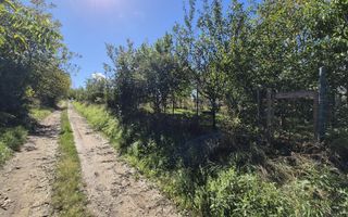 Teren intravilan în zona Lătureni – Buituri, în spatele casei nr. 100! - Poză 4