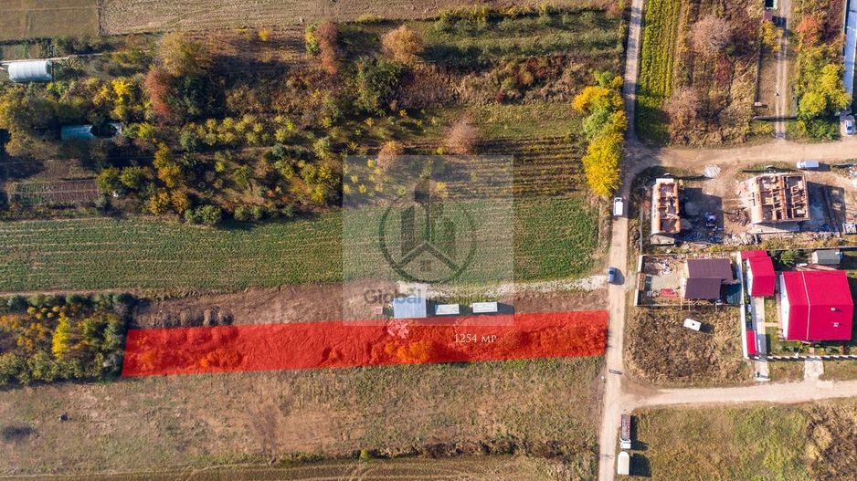 Teren intravilan Jilava | 1254 mp | Utilități la limită | 80 €/mp - Poză 3