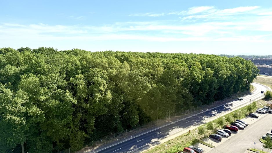 Priveliște care îți taie respirația, confort si eleganta, zona Lipovei - Poză 26