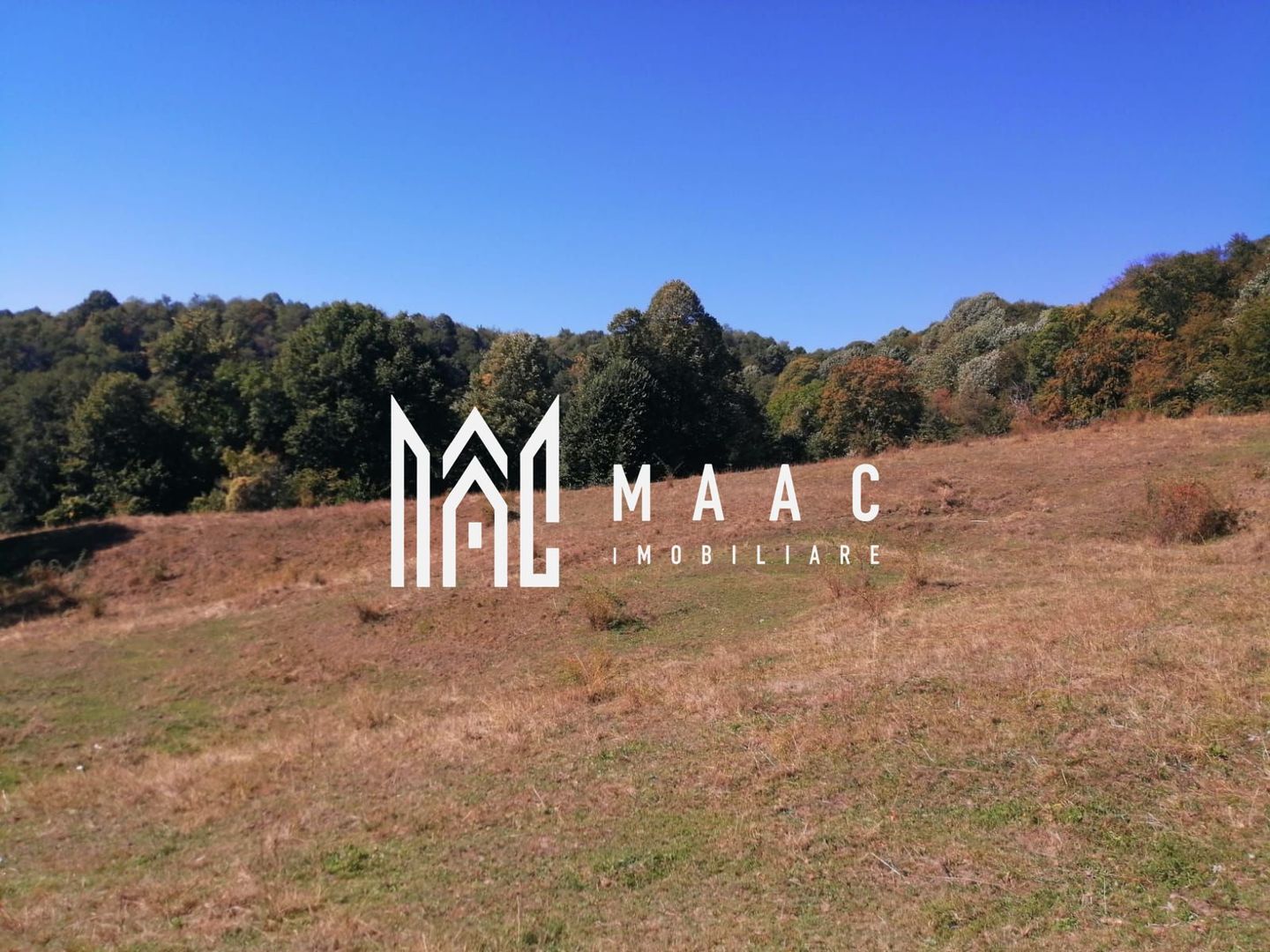 Teren Extravilan 20.000Mp I Stoenești -Vâlcea I Apă Curentă și Pădure - Poză 8