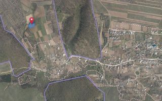 Tabăra/Orhei | 12.87 ari | Teren în inima Codrilor – Ideal pentru evadare în natură sau investiție - Poză 8