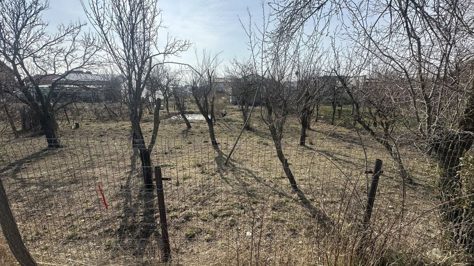 Teren 800 mp intravilan str. Olteni, Mosoaia, Arges - Poză 1