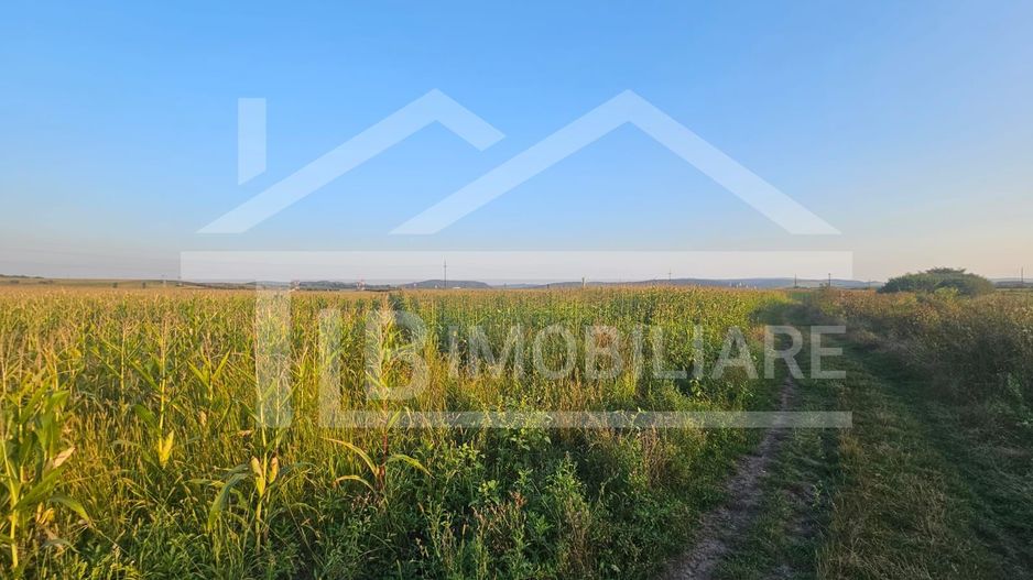 Teren intravilan, 1476 mp, Zona Ungheni - Poză 4