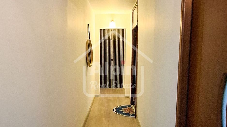 Suprafata Generoasa I Zona Gemenii - Poză 21