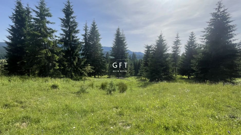 Teren de vanzare Colibita ! EXCLUSIVITATE! - Poză 1