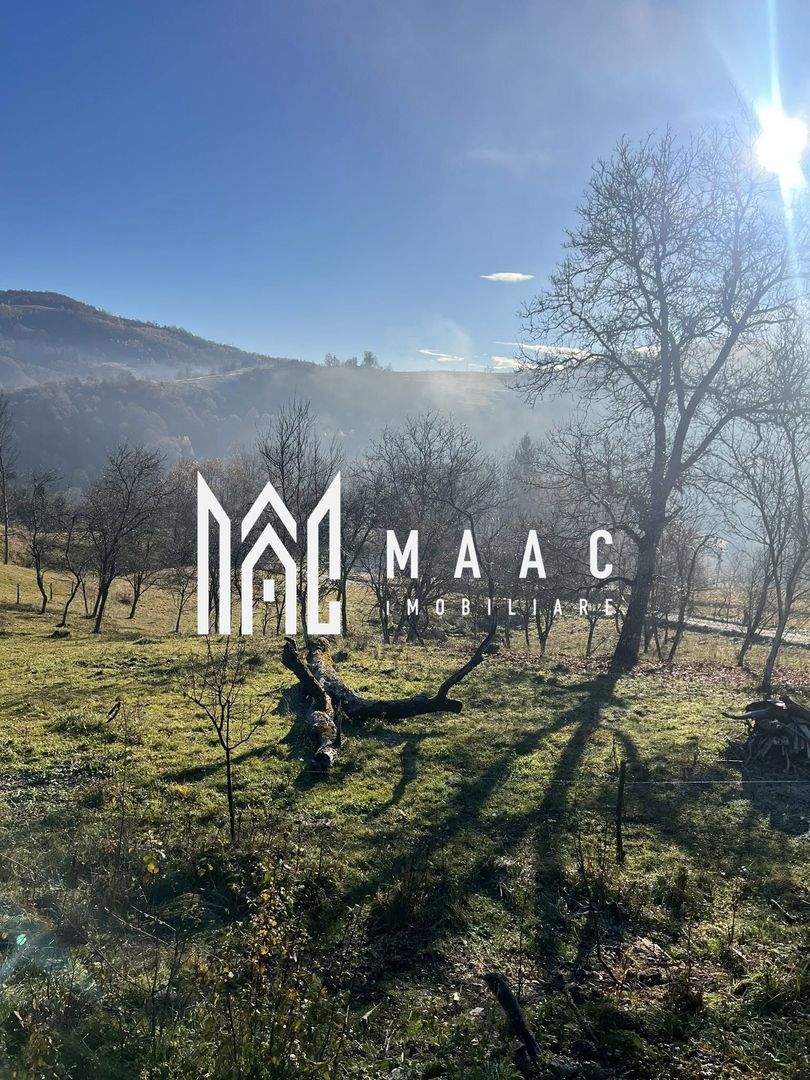 Super oferta I Vânzare Teren – Poiana Sohodol, Județ Alba - Poză 4