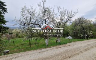 NECTORA IMOB-Teren Zona Podgoria,3400 mp (Intravilan + Extravilan) - Poză 4