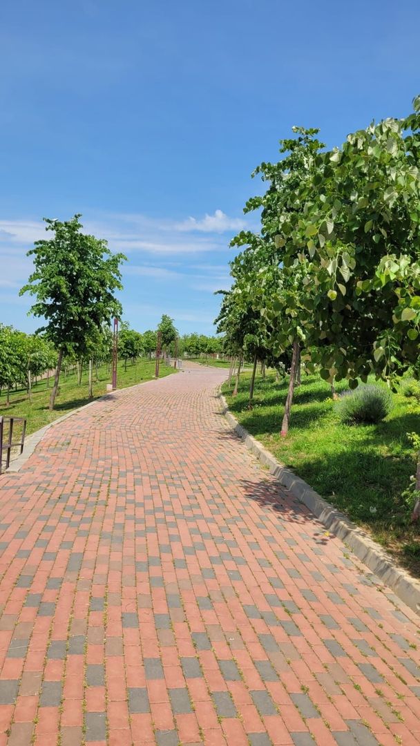 AP 2 CAM. DECOMANDAT - IDEAL LOCUINTA/INVESTITIE. AUCHAN TITAN! - Poză 7