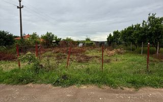 Teren Intravilan Padurea Noroieni - Poză 1