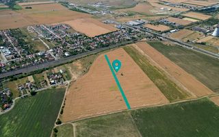 Tern intrevilan 4003 mp - Poză 1