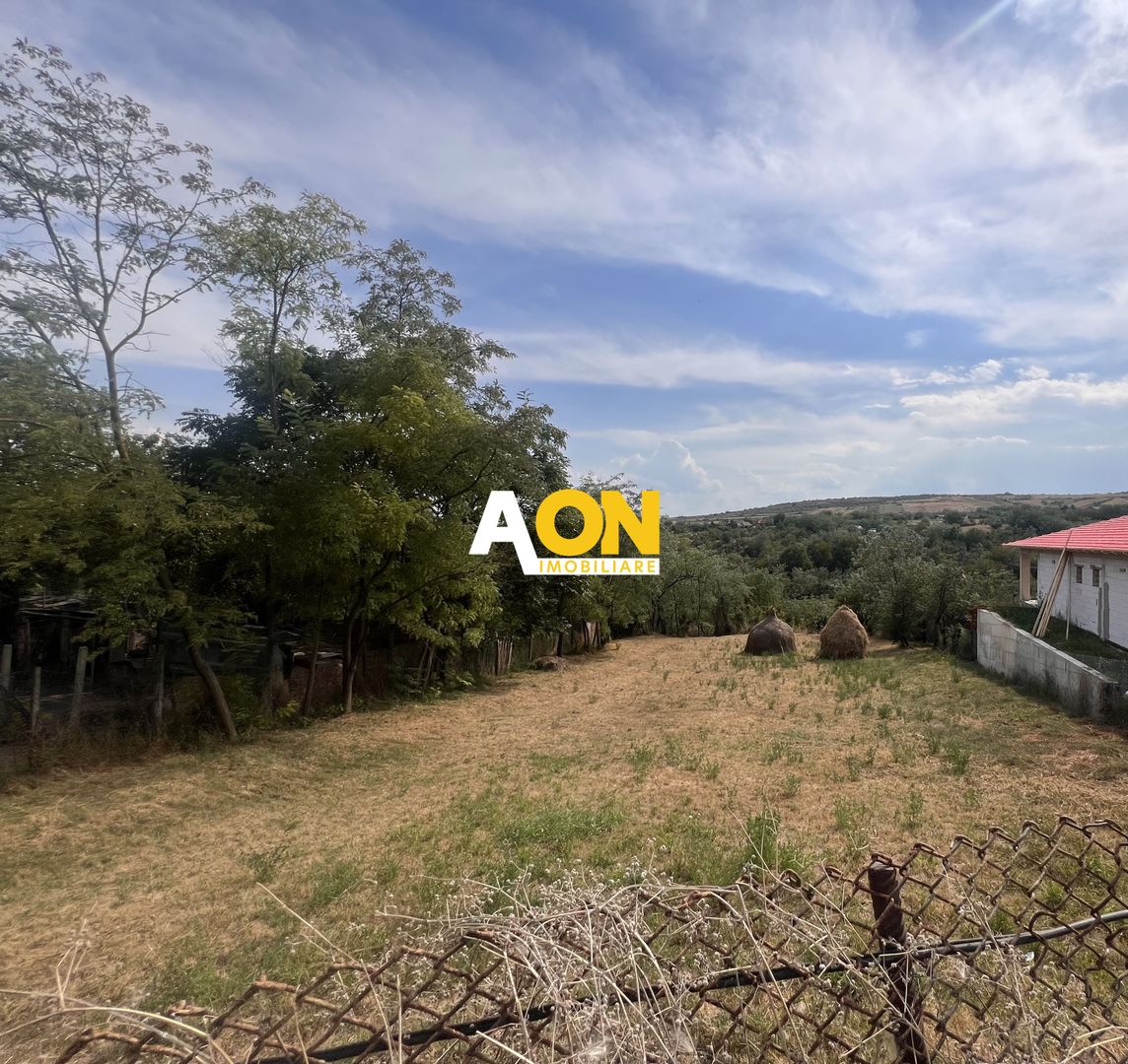 Teren Intravilan | 1.058 mp | Zona Paclisa - Poză 1