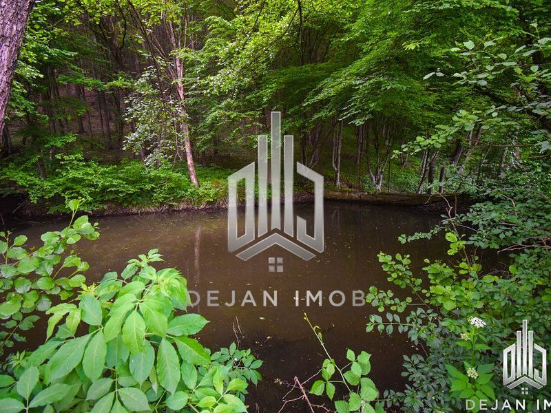 Vilă cu 4 camere | Valea Crișului | COMISION 0% - Poză 16