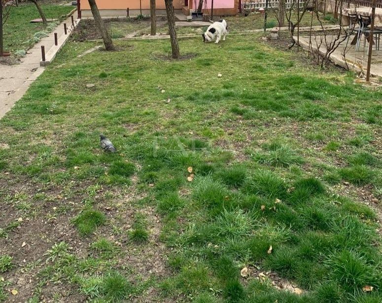 Oportunitate rară! Casă cu teren generos în zona Grand Hotel Italia - Poză 1