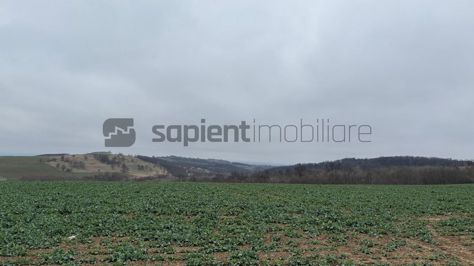 Teren în Hidiselul de Sus - Poză 1