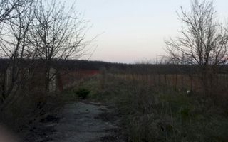 Casa Vacanta Izvorani - Poză 4